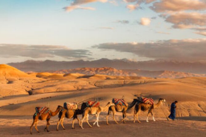 Atlas Mountains, 3 Valleys & Agafay Desert from Marrakech-DayTour - Tea with a Berber family