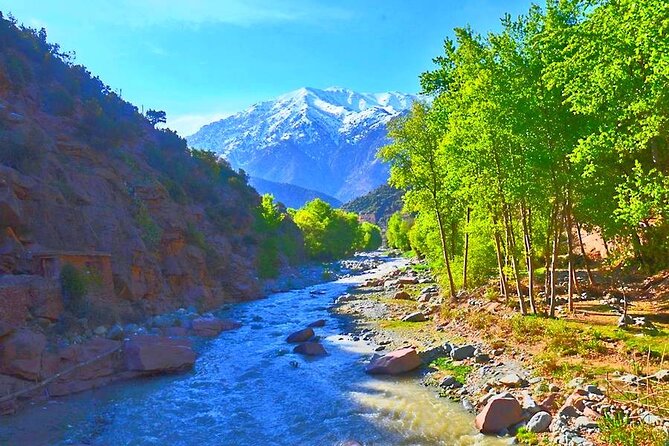 Atlas Mountains, 3 Valleys & Agafay Desert from Marrakech-DayTour - Lunch with a valley view