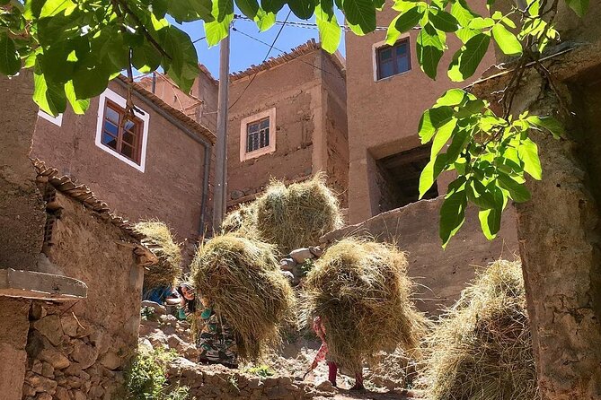 Atlas mountains 3valleys waterfall & camel ride - Imlil, the waterfall, and a gentle mountain walk