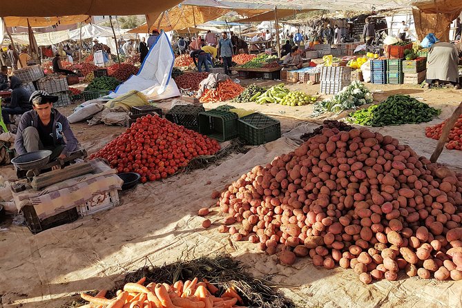 Atlas Mountains & 5 Valleys Tour from Marrakech - All inclusive - - Is $91.53 good value?