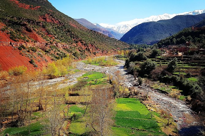 Atlas Mountains & 5 Valleys Tour from Marrakech - All inclusive - - The hike is the heart of the experience