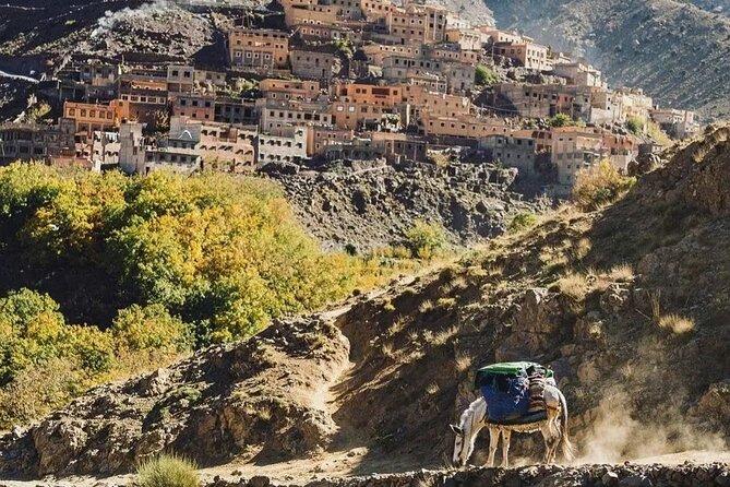 Atlas Mountains and 3 Valleys & Waterfalls - Camel Ride Marrakech - Camel riding near the Atlas Mountains
