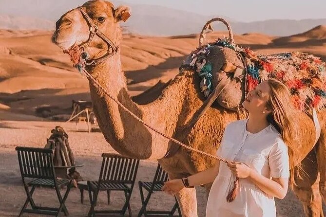 Atlas Mountains and Berber villages & Waterfalls with Camel ride - The camel ride in an open field