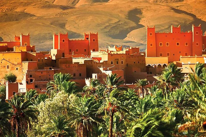 Atlas Mountains and Berber villages & Waterfalls with Camel ride - Argan oil, breakfast, and a women’s cooperative