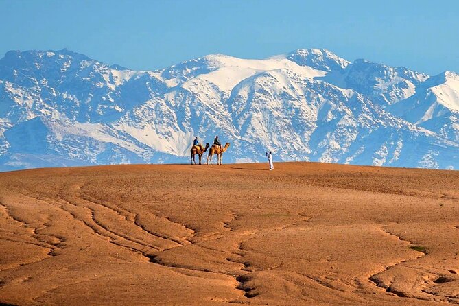Atlas Mountains and Three Valleys & Waterfalls - Villages Marrakech Day Trip - Price and practical value at $15.67