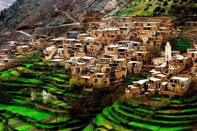 Atlas Mountains and Three Valleys & Waterfalls with Camel ride Day Trip - Transport, timing, and the value of $18.61