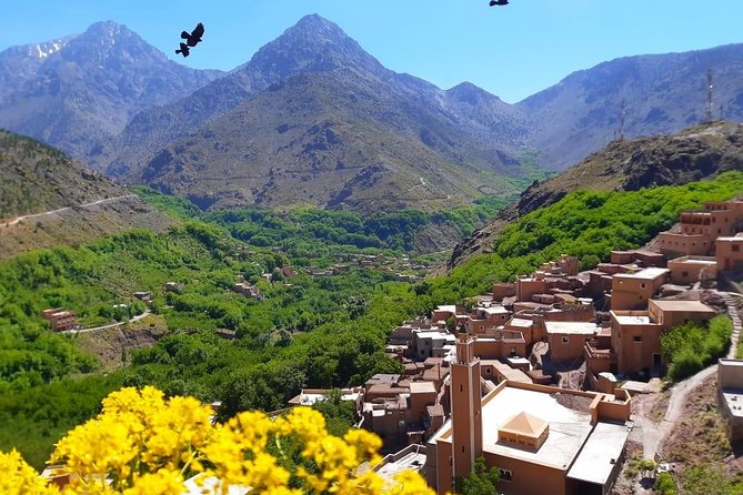 Atlas Mountains and Three Valleys & Waterfalls with Camel ride Day Trip - Tea, argan oil, and a stop in Tahnaout