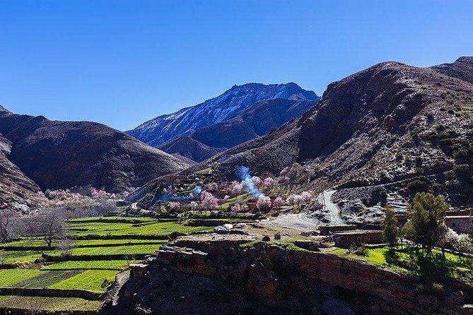 Atlas Mountains and Three Valleys & Waterfalls with Camel ride Guided Day Trip - What the 23.26 dollar price really covers