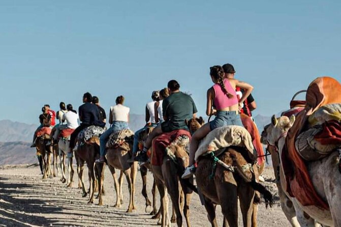 Atlas Mountains, Berber Villages and Three Valleys all inclusive - The argan cooperative and goats in the trees