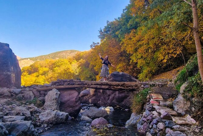 Atlas Mountains & Berber Villages & Waterfalls & Camel Ride Trip - Walking through Imlil and nearby villages