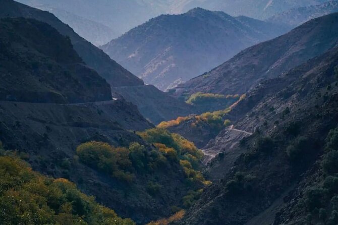 Atlas Mountains & Berber Villages & Waterfalls & Camel Ride Trip - Tea at a family home