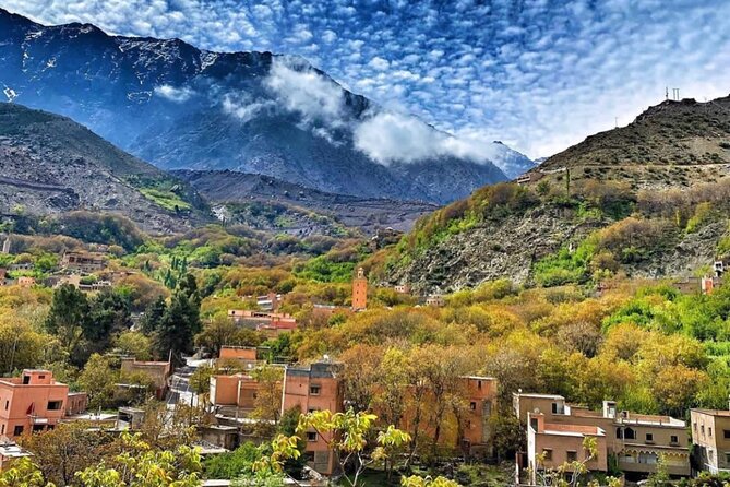 Atlas Mountains & Berber Villages & Waterfalls & Camel Ride Trip - Lunch in a Berber home