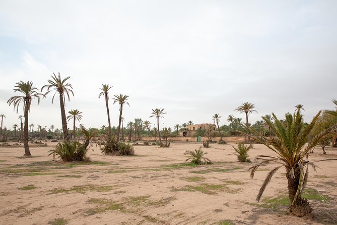 Atlas Mountains Hot Air Balloon Ride from Marrakech with Berber Breakfast and Desert Camel Experience - A Berber breakfast after landing