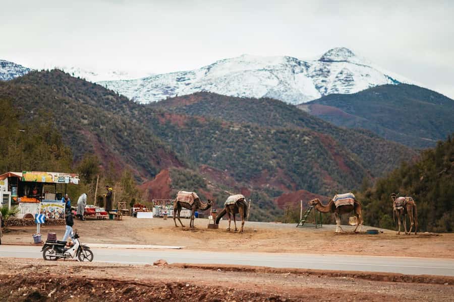 Atlas mountains, Ourika valley, berber villages trip & Guide - Key points at a glance