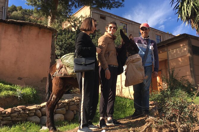 Atlas Mountains Ourika valley Day Tour from Marrakech - Camel riding across the valley