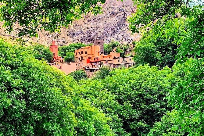 Atlas Mountains & Ourika Valley Private Day Trip From Marrakech - The camel ride and market option