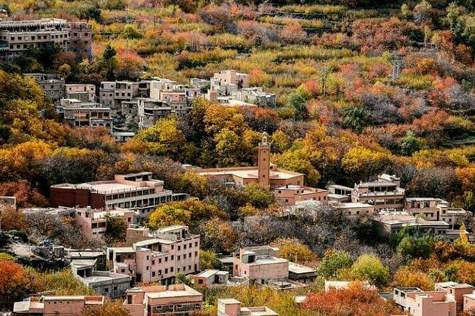 Atlas mountains privat day trip - Key points to know before you book