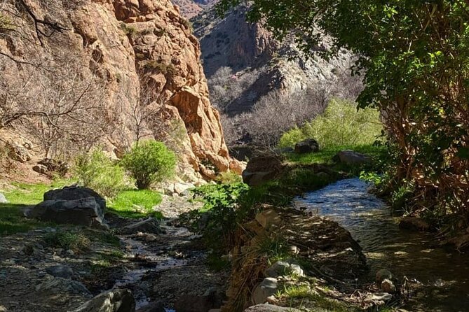 Atlas Mountains & Waterfalls Day Trip from Marrakech - What the $18 price really buys