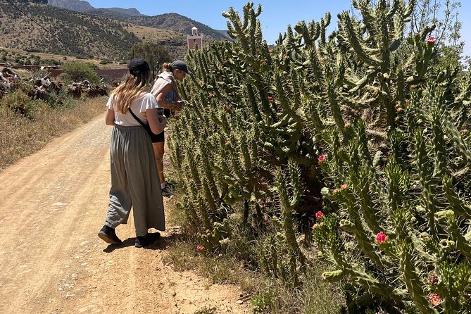 Atlas: Pottery workshop , hiking and swimming pool - Walking above the village of Amizmiz