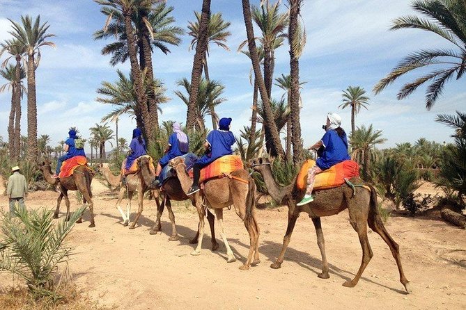 ATV Quad biking in Marrakech desert palmgrove - Hotel pickup makes the outing easier