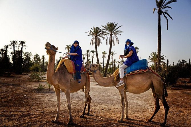 ATV Quad biking in Marrakech desert palmgrove - Who will get the most from this experience