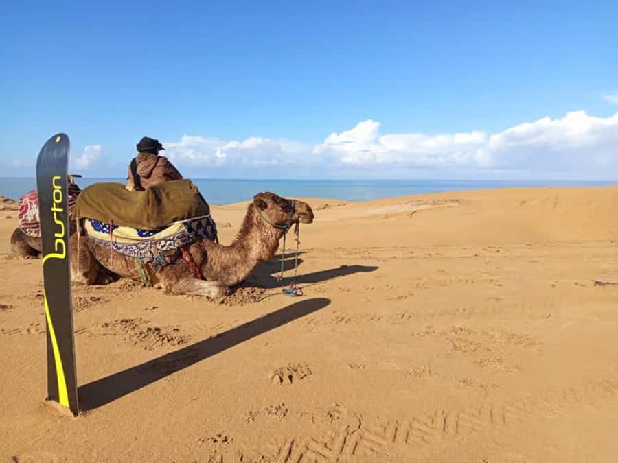 Best Agadir Desert Adventure: Quad Camel Sandboarding & BBQ - Guides, equipment, and the human side of the trip