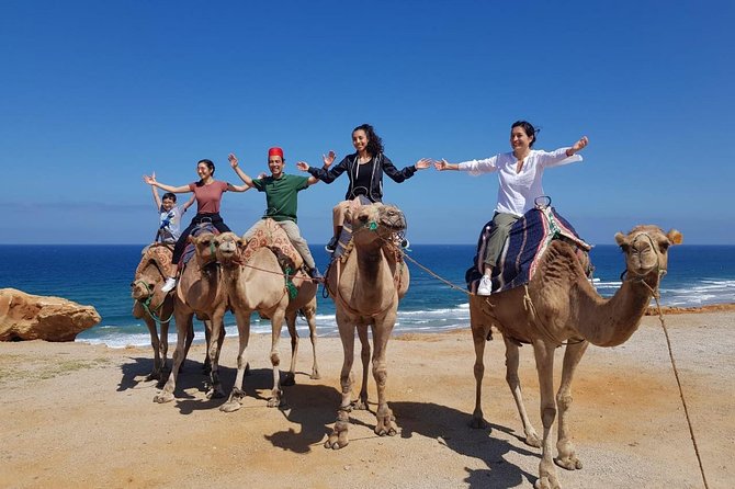 Best of Tangier: Camel Ride, Medina Walk & Breathtaking Views - One hour inside the Medina