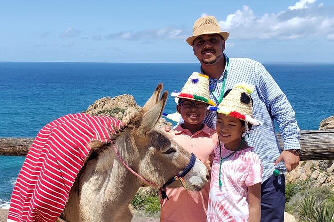 BEST SELLER TANGIER PRIVATE TOUR: Highlights, Camels & Old Town - Driving to Cap Spartel and Perdicaris Park