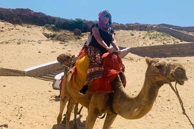 BEST SELLER TANGIER PRIVATE TOUR: Highlights, Camels & Old Town - Camels, photographs, and a little flexibility
