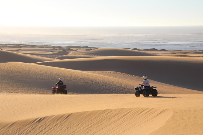 Big Cap Sim dunes and forest 3 hours tour. - Starting at Palma Quad in Essaouira