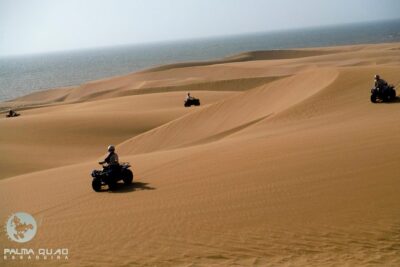Big Cap Sim dunes and forest 3 hours tour.