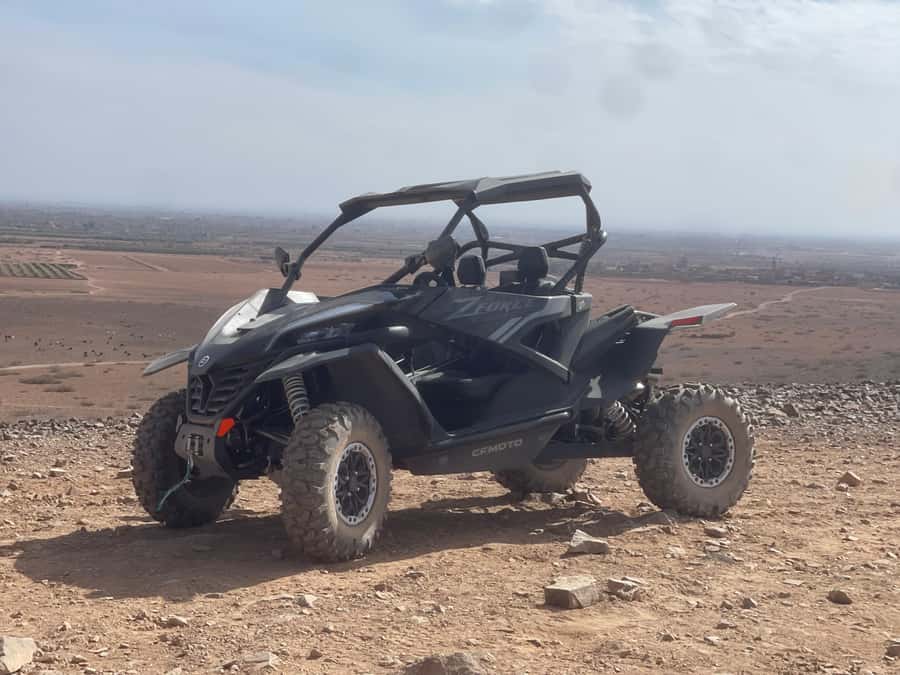 Buggy Marrakech Desert and Palmerie - Key points at a glance