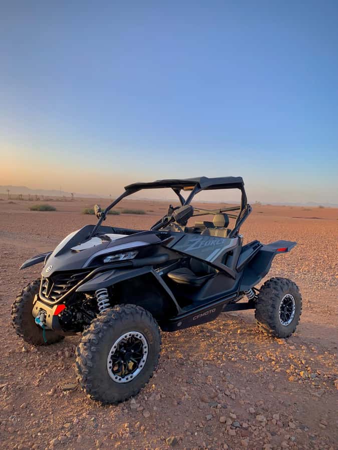 Buggy Marrakech Desert and Palmerie - Gravel, sand, humps, and palm-lined tracks