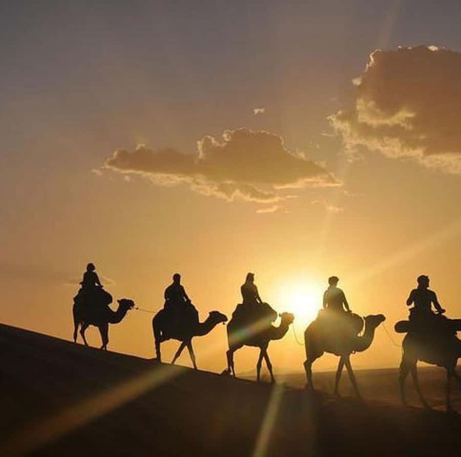 Buggy ride with camels and dinner show in agafay desert - Leaving Marrakech for Agafay