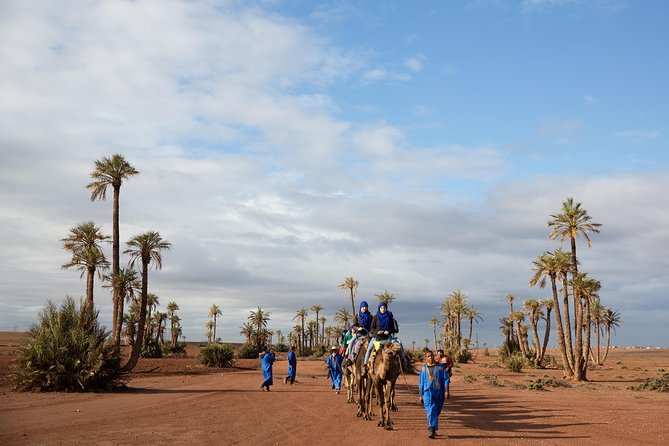 Camel and Quad Biking Tour from Marrakech - Mint tea with a Berber family
