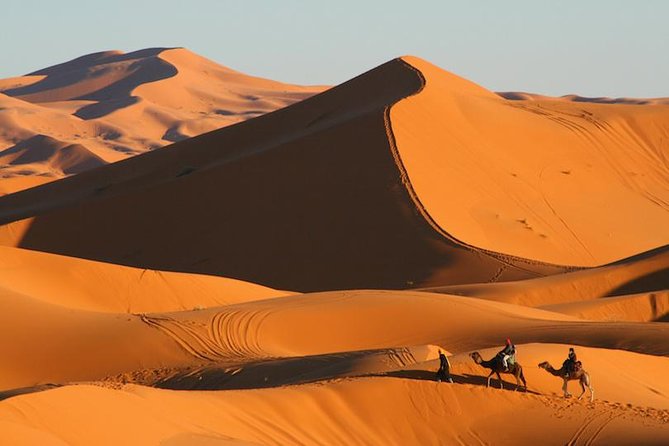 ✅ Camel Ride and Overnight in Sahara Desert Camp - Sunrise and breakfast in the desert