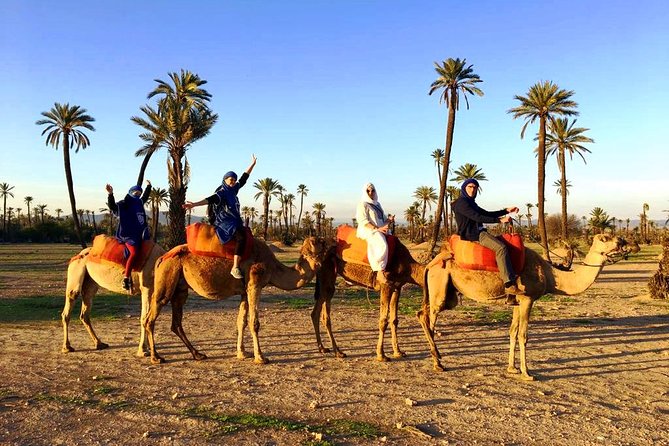 Camel Ride and Spa Treatment in Marrakech - Mint tea under a nomadic tent
