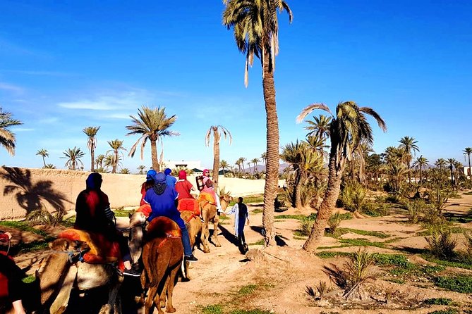 Camel Ride and Spa Treatment in Marrakech - Pickup and the ride to the Palmeraie