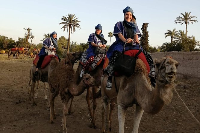 Camel Ride at the Palm Groves in Marrakech - Arriving among more than 100,000 palms