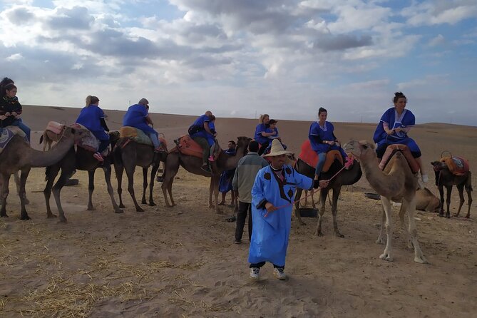 Camel Ride at the Palm Groves in Marrakech - One hour on a camel