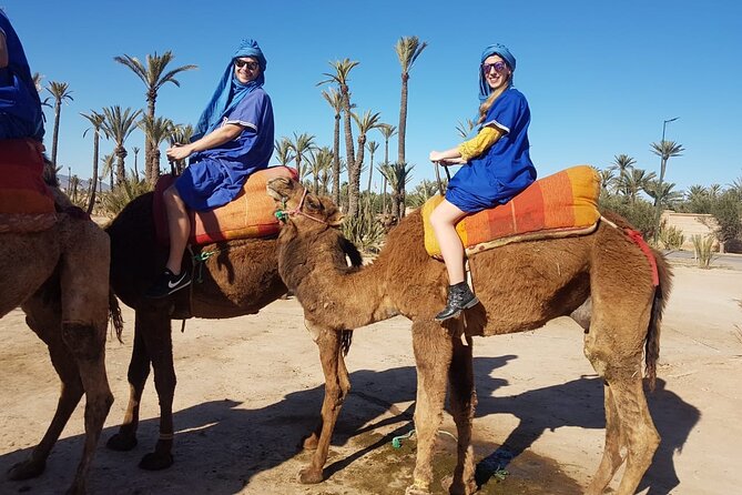 Camel Ride at the Palm Groves in Marrakech - Mint tea after the ride