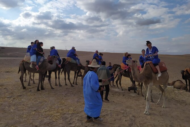 Camel Ride at the Palm Groves in Marrakech - What the $23.32 price really covers
