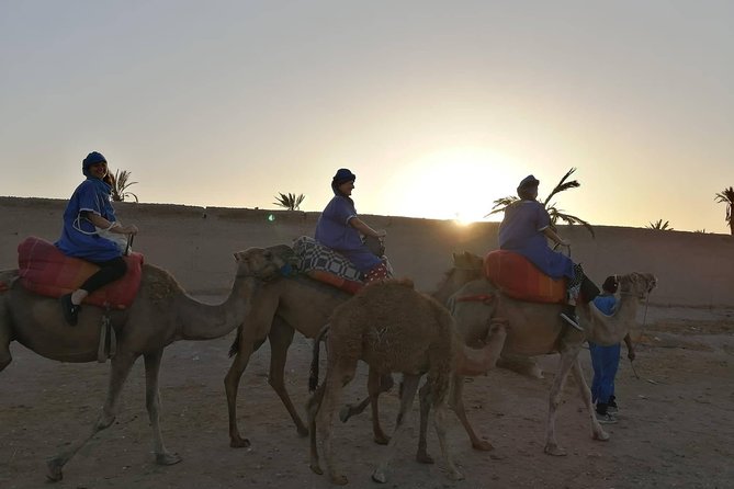 Camel Ride at the Palm Groves in Marrakech - Who should book this camel ride