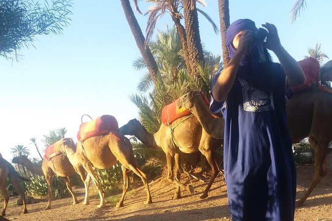 Camel Ride at the Palm Groves in Marrakech - Booking, timing, and cancellation advice