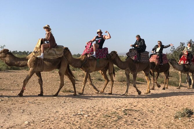 Camel ride in agadir at sunset with barbecue and couscous - The Agadir dunes and the sunset question