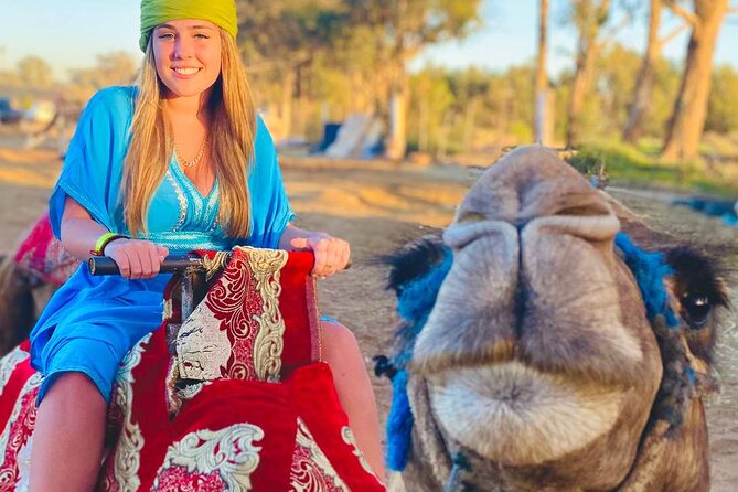 Camel ride in agadir at sunset with barbecue and couscous - Barbecue, couscous, and dinner at the cultural center