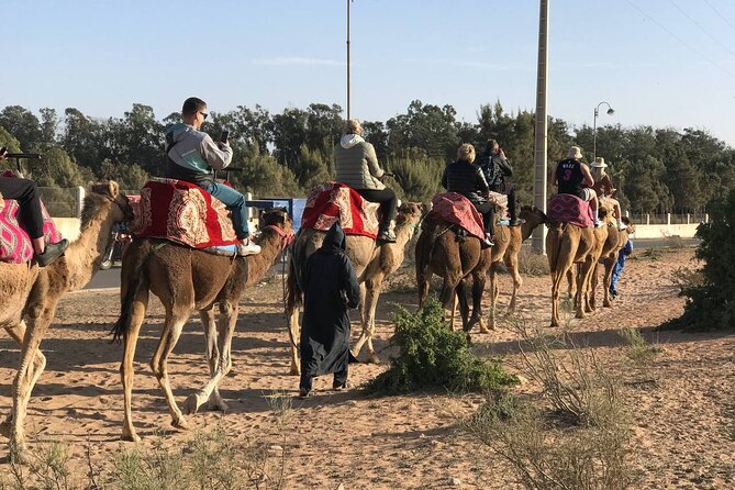 Camel ride in agadir at sunset with barbecue and couscous - Is $34.89 good value?