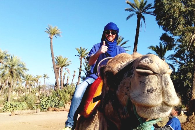 Camel Ride in Marrakech with Hotel-Pick up and Drop-off Included - A quiet hour among palms, tracks, and village edges