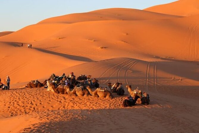Camel ride in Tanger - A quick way to see Tangier beyond the medina