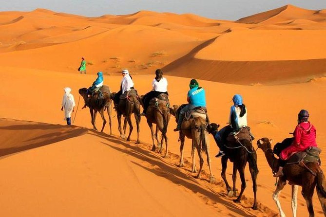 Camel ride in Tanger - Plage de Tanger and the first coastal views